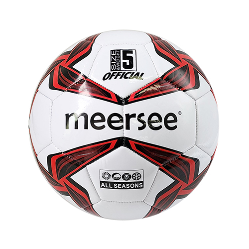 Size 5 Soccer ball