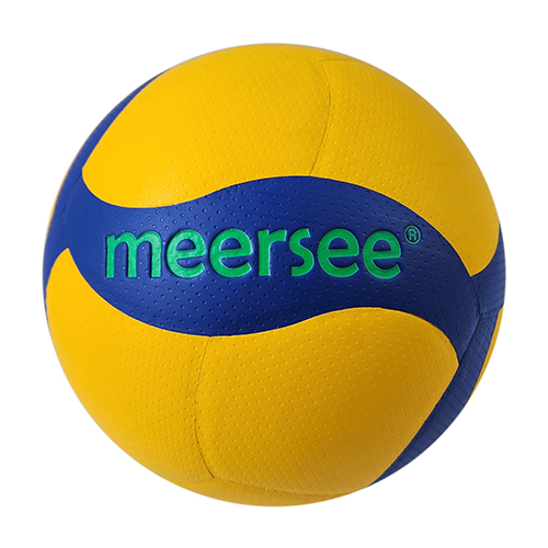 Adult Professional Game Volleyball